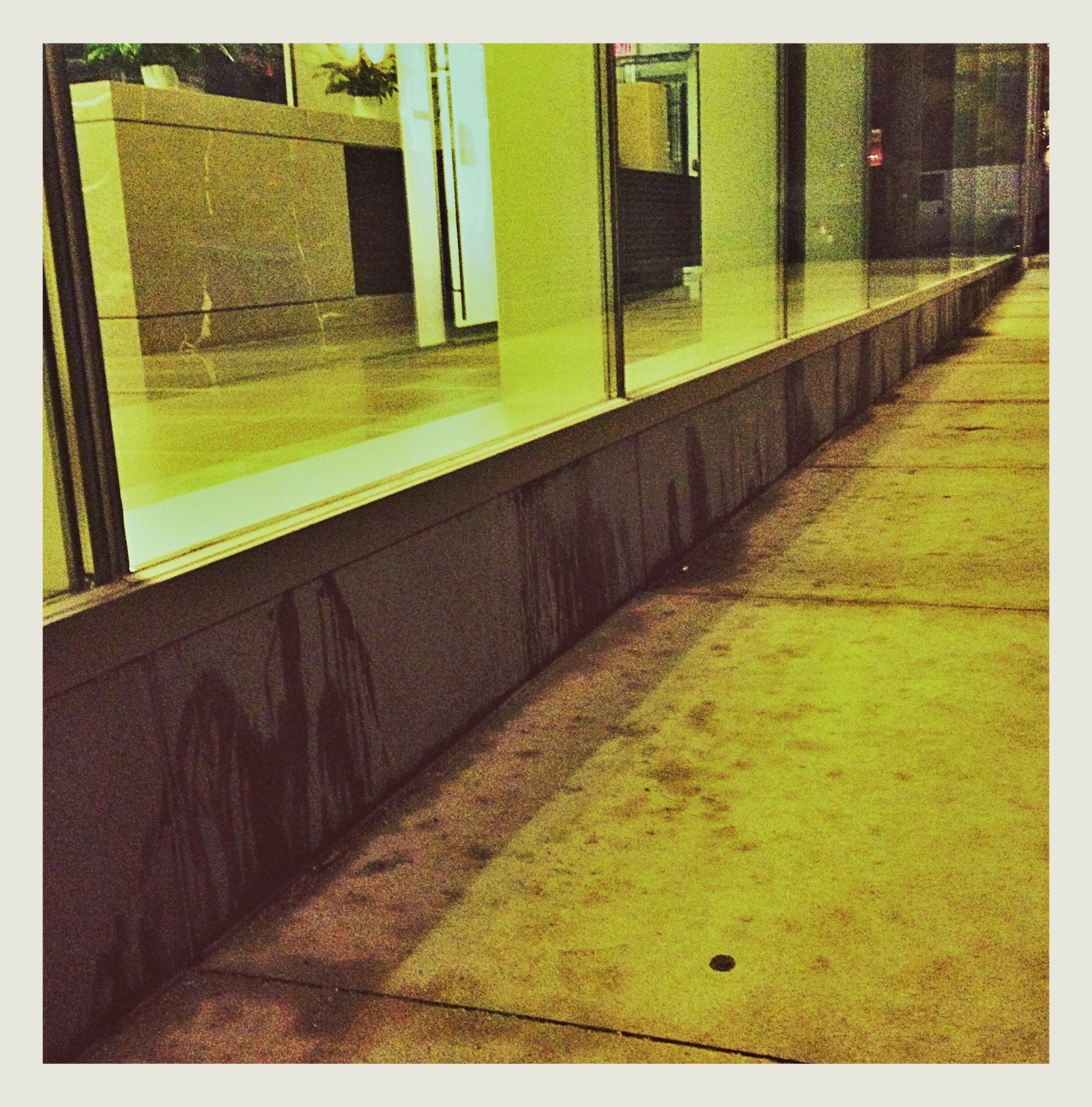 "Piss-Pot" - Desperate dogs or lazy owners leave a urine stained walkway @ThompsonToronto Hotel & Suites, Toronto