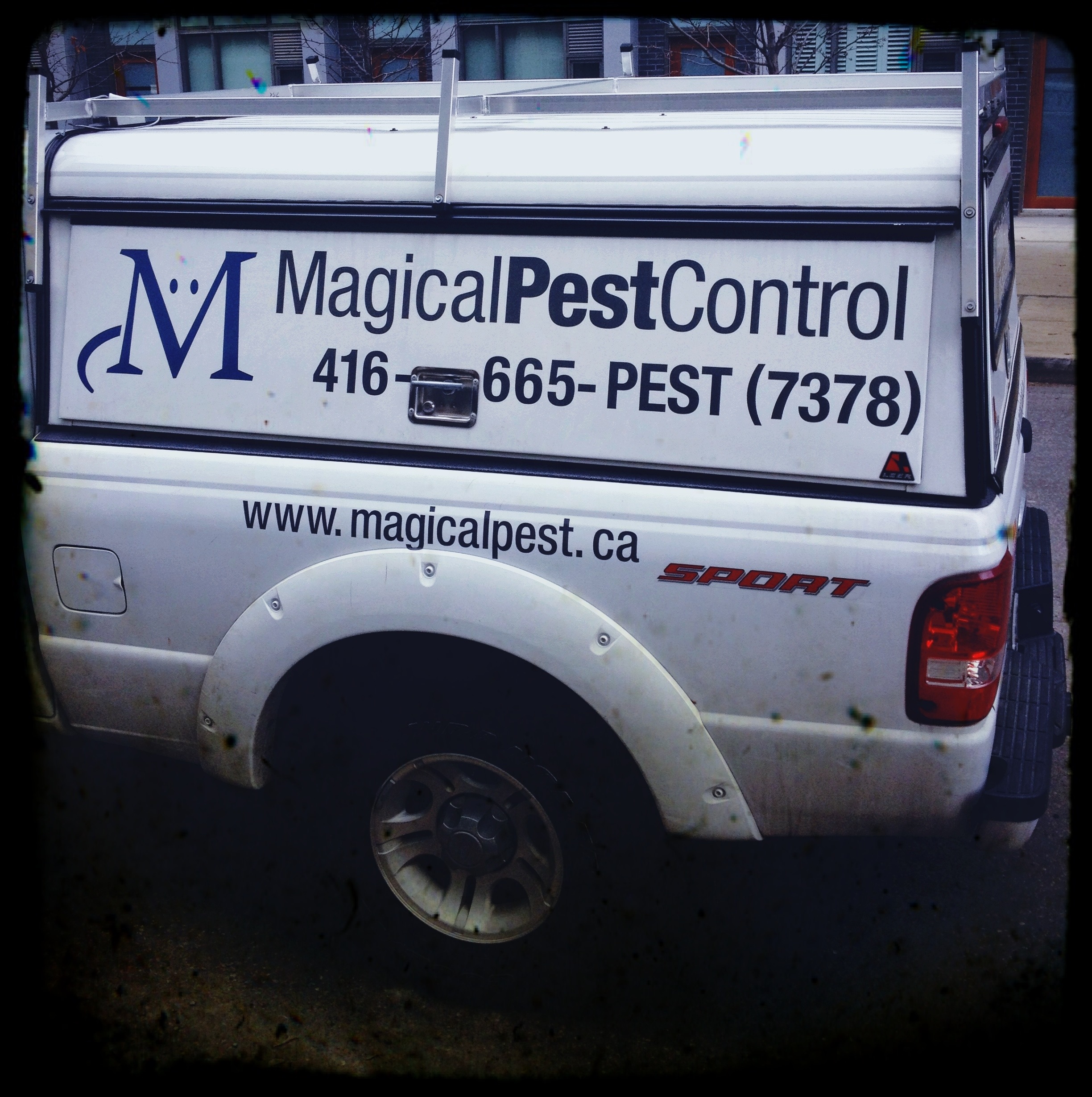 "Finally, Someone Who Can Help With My Unicorn Infestation" - Magical Pest Control, Toronto