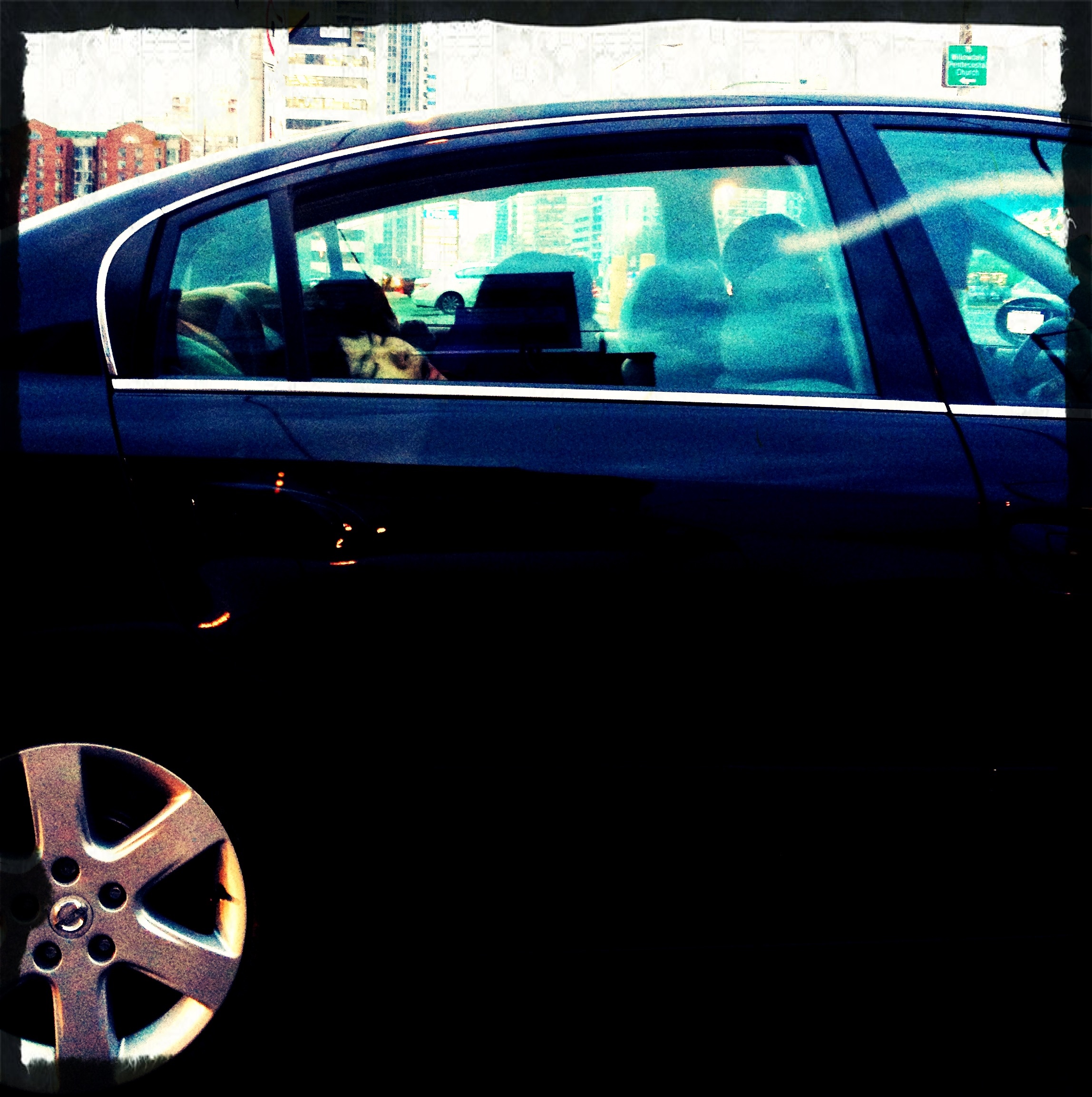 "Surfacing" - Car passenger naps in the rear-seat, Willowdale, Toronto